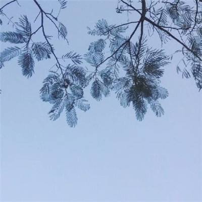 旋转精英下载